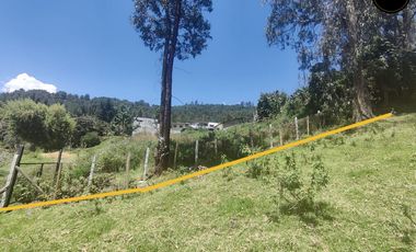 Terreno de venta en Autopista Gapal – código:21953