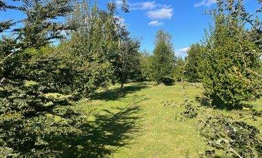 EN VENTA EXCLUSIVA PARCELA EN CARMEN DE PUMALAL, TEMUCO