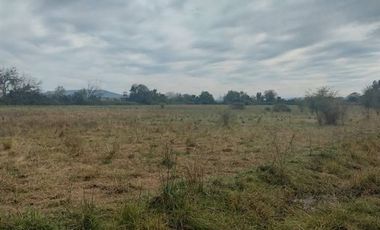 Agrícola en Venta en Comuna de Retiro, localidad Bureo