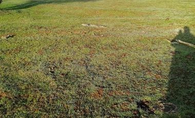 Agrícola en Venta en Comuna de Retiro, localidad Bureo