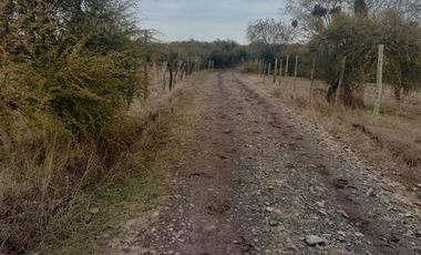 Agrícola en Venta en Comuna de Retiro, localidad Bureo