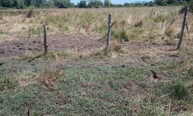 Agrícola en Venta en Comuna de Retiro, localidad Bureo