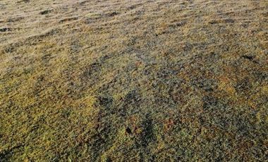 Agrícola en Venta en Comuna de Retiro, localidad Bureo