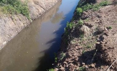 Agrícola en Venta en Comuna de Retiro, localidad Bureo