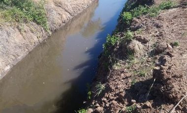 Agrícola en Venta en Comuna de Retiro, localidad Bureo