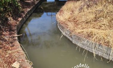 Agrícola en Venta en Comuna de Retiro, localidad Bureo