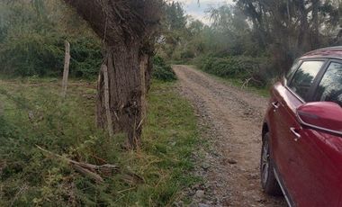 Agrícola en Venta en Comuna de Retiro, localidad Bureo