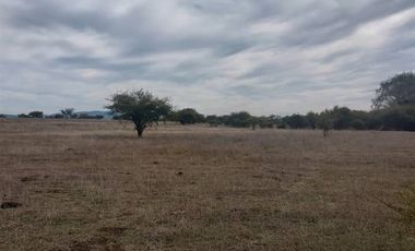 Agrícola en Venta en Comuna de Retiro, localidad Bureo