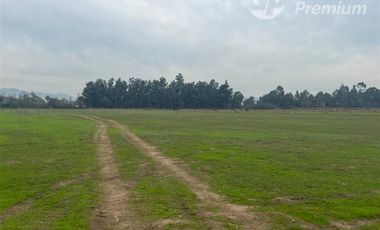 Sitio en Venta en LA MEJOR OPCION DE COMPRA EN CODEGUA