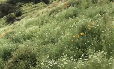 Tu Parcela HUECHURABA  a 15 min de Todo!!!!! 2.500m2