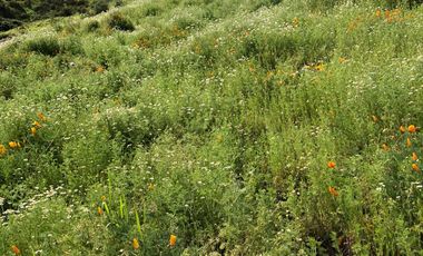 Tu Parcela HUECHURABA  a 15 min de Todo!!!!! 2.500m2