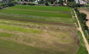 ¡Estrena departamento en renta y estilo de vida en 724 Punto Sur Apartments en Torre 2 Nivel 8!