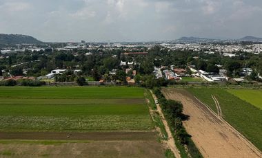 ¡Estrena departamento en renta y estilo de vida en 724 Punto Sur Apartments en Torre 2 Nivel 8!