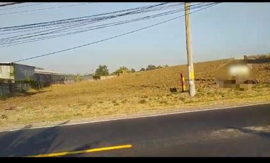 Tanah disewakan di Karangandong, Gresik, Jawa Timur