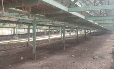 KANDANG AYAM 5000 EKOR DAN KEBUN DI LINGSAR