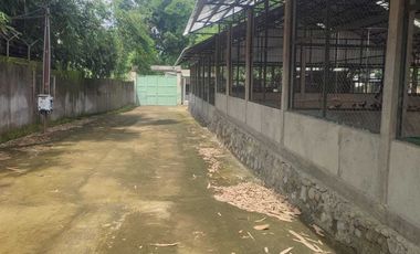 KANDANG AYAM 5000 EKOR DAN KEBUN DI LINGSAR