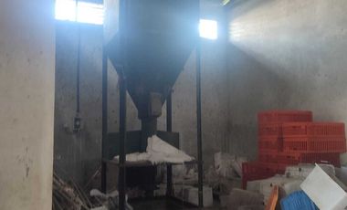 KANDANG AYAM 5000 EKOR DAN KEBUN DI LINGSAR