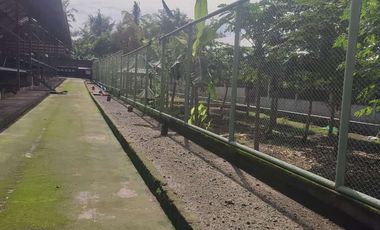 KANDANG AYAM 5000 EKOR DAN KEBUN DI LINGSAR