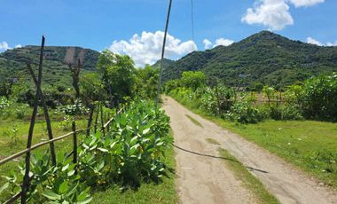 DIJUAL TANAH OCEAN VIEW DI LANCING MEKAR SARI