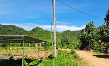 DIJUAL TANAH OCEAN VIEW DI LANCING MEKAR SARI