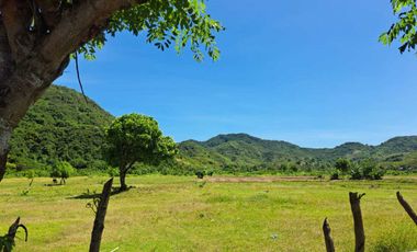 DIJUAL TANAH TEPI PANTAI LANCING LOMBOK TENGAH