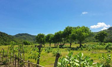 DIJUAL TANAH TEPI PANTAI LANCING LOMBOK TENGAH