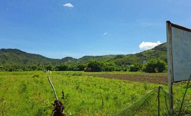 DIJUAL TANAH TEPI PANTAI LANCING LOMBOK TENGAH