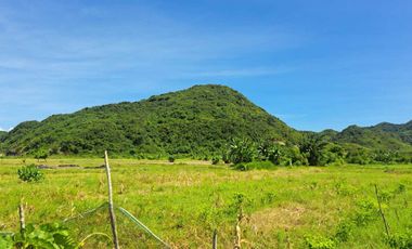 DIJUAL TANAH TEPI PANTAI LANCING LOMBOK TENGAH