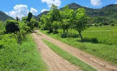 DIJUAL TANAH TEPI PANTAI LANCING LOMBOK TENGAH