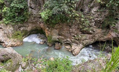 OCHO HECTAREAS DE TERRENO CON ARBOLES DE AGUACATE PRODUCIENDO