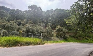 OCHO HECTAREAS DE TERRENO CON ARBOLES DE AGUACATE PRODUCIENDO
