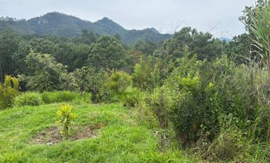OCHO HECTAREAS DE TERRENO CON ARBOLES DE AGUACATE PRODUCIENDO