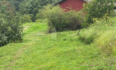 OCHO HECTAREAS DE TERRENO CON ARBOLES DE AGUACATE PRODUCIENDO