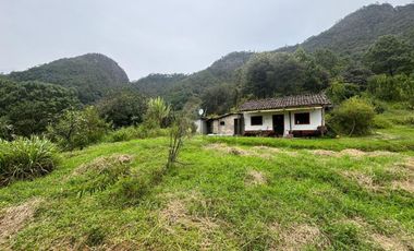 OCHO HECTAREAS DE TERRENO CON ARBOLES DE AGUACATE PRODUCIENDO