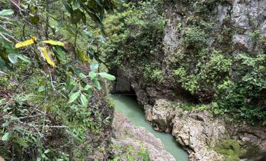 OCHO HECTAREAS DE TERRENO CON ARBOLES DE AGUACATE PRODUCIENDO