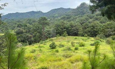 OCHO HECTAREAS DE TERRENO CON ARBOLES DE AGUACATE PRODUCIENDO