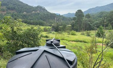 OCHO HECTAREAS DE TERRENO CON ARBOLES DE AGUACATE PRODUCIENDO