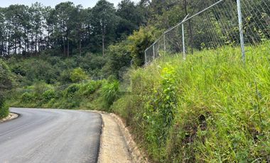 OCHO HECTAREAS DE TERRENO CON ARBOLES DE AGUACATE PRODUCIENDO