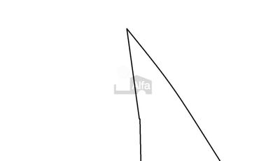 OCHO HECTAREAS DE TERRENO CON ARBOLES DE AGUACATE PRODUCIENDO