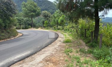 OCHO HECTAREAS DE TERRENO CON ARBOLES DE AGUACATE PRODUCIENDO