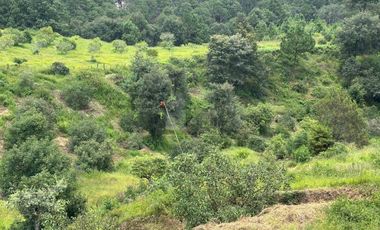 OCHO HECTAREAS DE TERRENO CON ARBOLES DE AGUACATE PRODUCIENDO