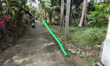 JUAL TANAH DI NGESTIHARJO WATES KULONPROGO