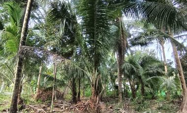 JUAL TANAH DI NGESTIHARJO WATES KULONPROGO