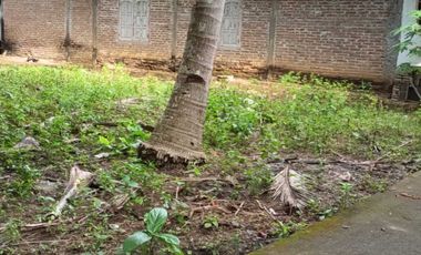 JUAL TANAH DI NGESTIHARJO WATES KULONPROGO