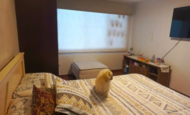 DEPARTAMENTO EN RENTA. FICOA LAS PALMAS