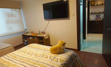 DEPARTAMENTO EN RENTA. FICOA LAS PALMAS