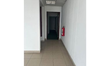 GALERA / MAÑANITAS / TOCUMEN WAREHOUSE PARK / 228M / CON OFICINAS JC