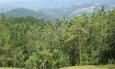 VENTA CASA EN ALTOS DE MARIA NATURALEZA PURA CERCA A CORONADO 25MT