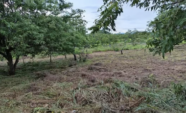 TERRENO / SAN CARLOS / RIO MAR / 1400M / CERCA PLAYA / PLANO JC