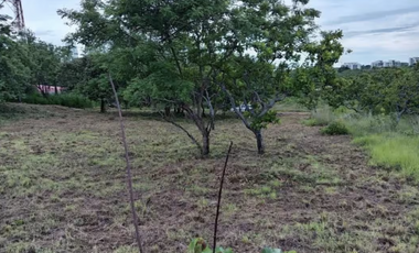 TERRENO / SAN CARLOS / RIO MAR / 1400M / CERCA PLAYA / PLANO JC